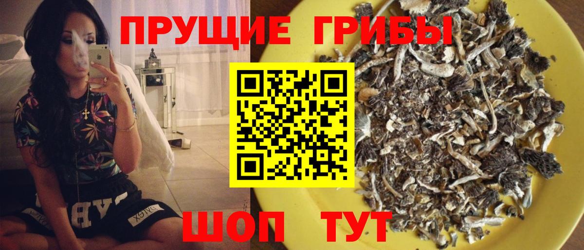 Псилоцибиновые грибы ЛСД  Вход с VPN  Чусовой  Псилоцибиновые грибы Psilocybine cubensis 