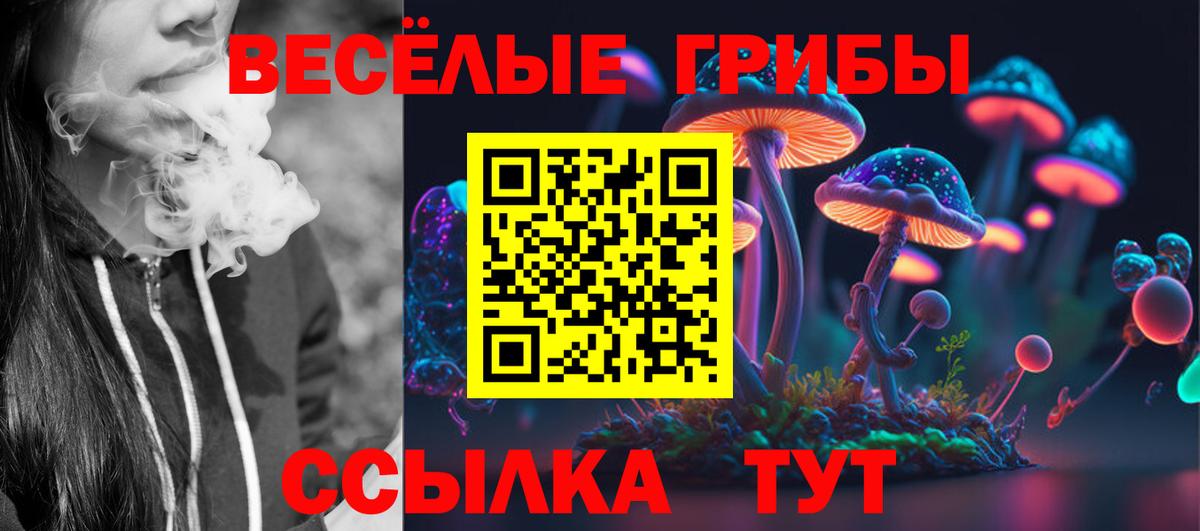 Галлюциногенные грибы Cubensis Чусовой